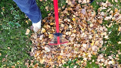 End of tenancy garden cleaning