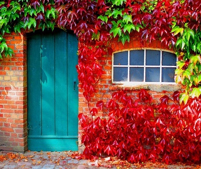 Windows that need cleaning in Bournemouth