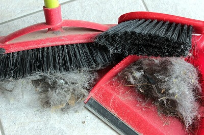 clean to avoid allergies in Bournemouth house